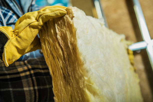 Best Eco-Friendly Insulation in Surrey, ND