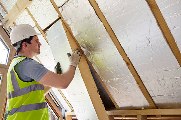 Best Specialized Insulation Services in Surrey, ND