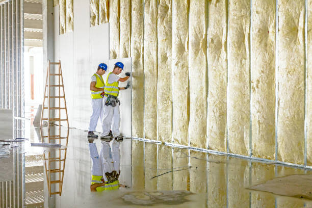 Types of Insulation We Offer in Surrey, ND